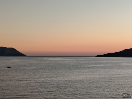 Обзор смартфона HONOR X7d: прочнее, дольше и с искусственным интеллектом