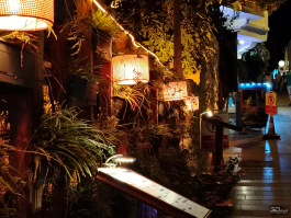 Обзор смартфона HONOR X7d: прочнее, дольше и с искусственным интеллектом