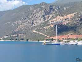 Обзор смартфона HONOR X7d: прочнее, дольше и с искусственным интеллектом