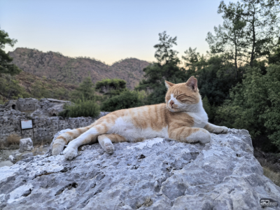 Обзор смартфона HUAWEI nova 14 Pro: покажет все как есть