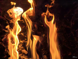 Обзор смартфона HUAWEI nova 14 Pro: покажет все как есть