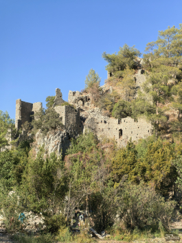 Обзор смартфона HUAWEI nova 14 Pro: покажет все как есть