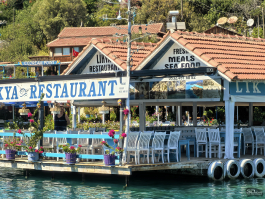 Обзор смартфона HUAWEI nova 14 Pro: покажет все как есть