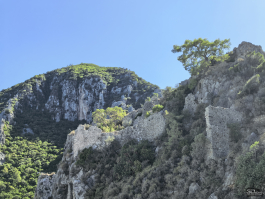 Обзор смартфона HUAWEI nova 14 Pro: покажет все как есть