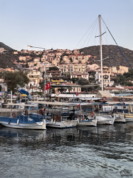 Обзор смартфона HUAWEI nova 14 Pro: покажет все как есть