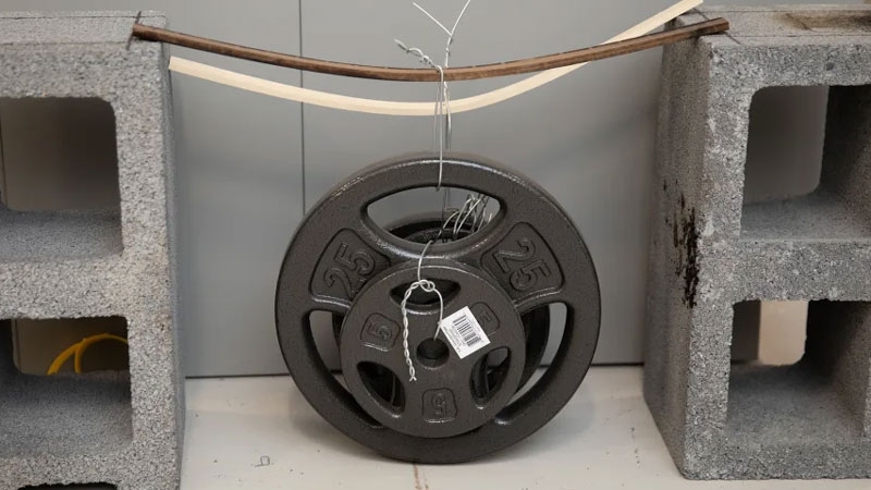 В США в продажу поступила «супердревесина» — в строительстве она заменит сталь