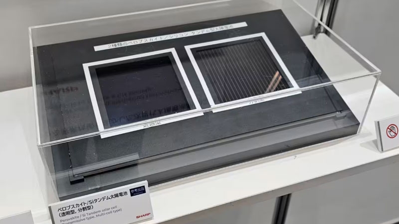 Sharp выйдет на рынок перовскитных солнечных панелей в 2027 году, чтобы изгнать из Японии китайский «солнечный кремний»